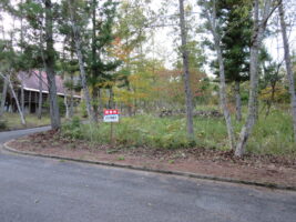 蒜山下徳山 B-14の物件写真