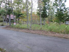 蒜山下徳山 B-14の物件写真