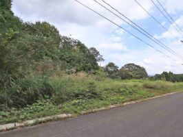真庭市蒜山上福田C-165の物件写真
