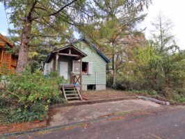 蒜山富掛田　A-264の物件写真