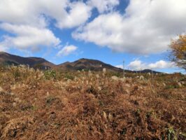 蒜山下福田　C-169の物件写真