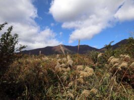 蒜山下福田　C-169の物件写真