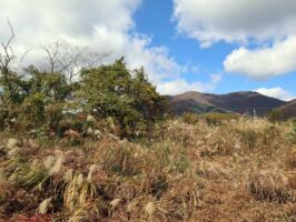 蒜山下福田　C-169の物件写真