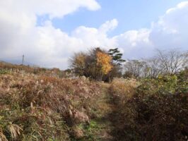 蒜山下福田　C-169の物件写真