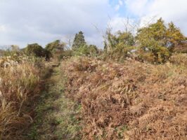 蒜山下福田　C-169の物件写真