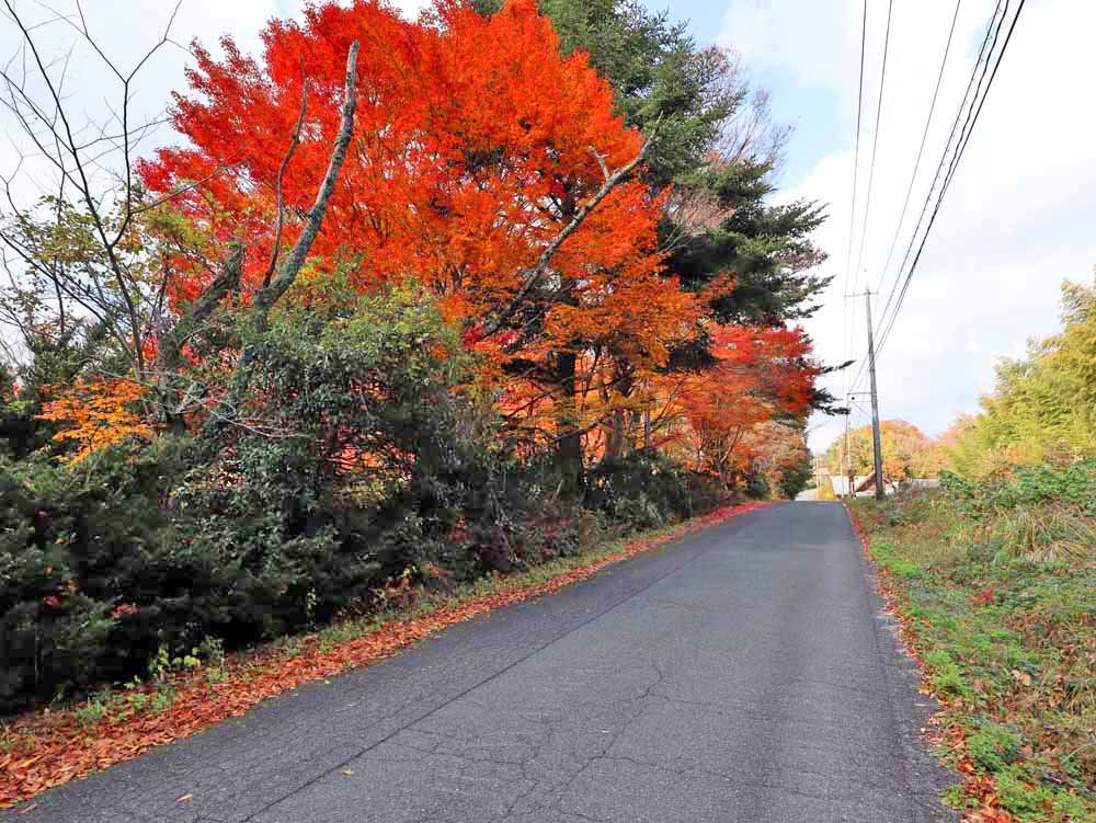 真庭市蒜山上福田C-167の物件写真