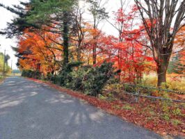真庭市蒜山上福田C-167の物件写真