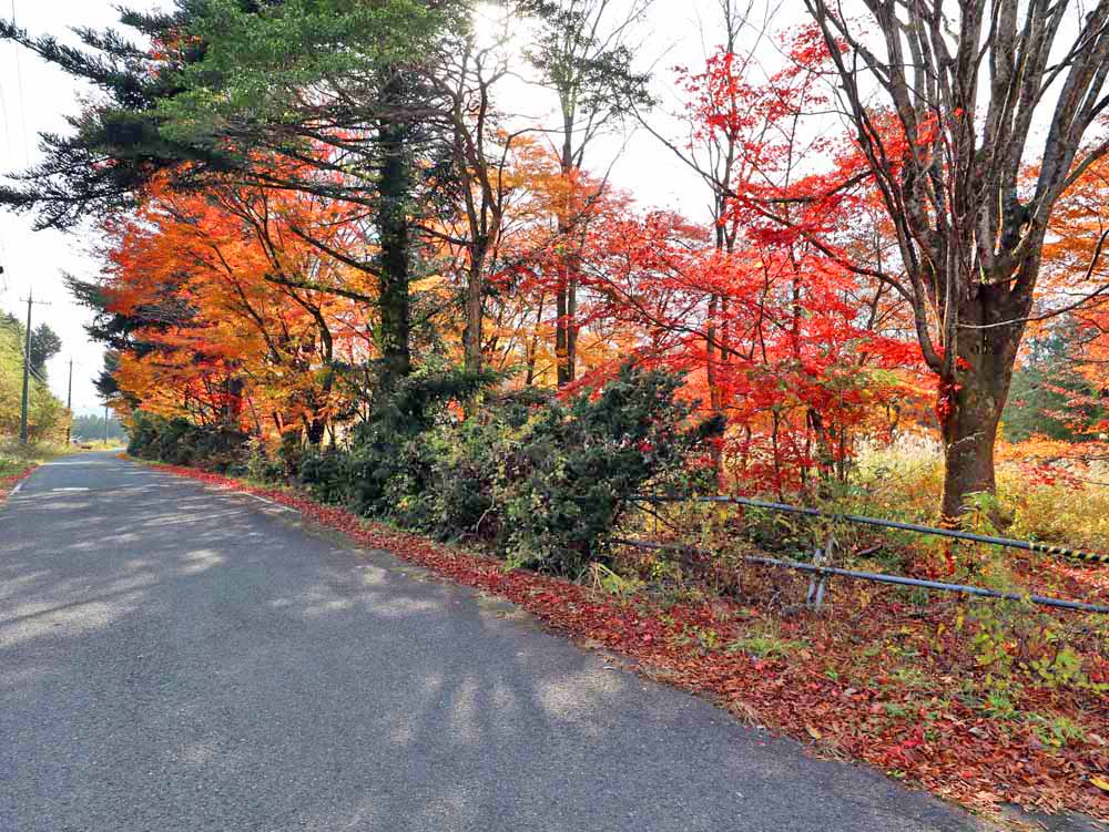 真庭市蒜山上福田C-167の物件写真