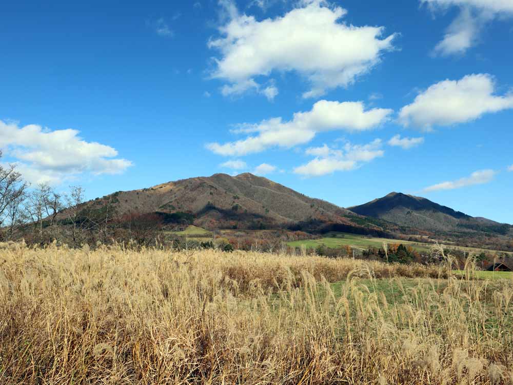 蒜山中福田 C-171の物件写真