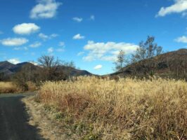 蒜山中福田 C-171の物件写真
