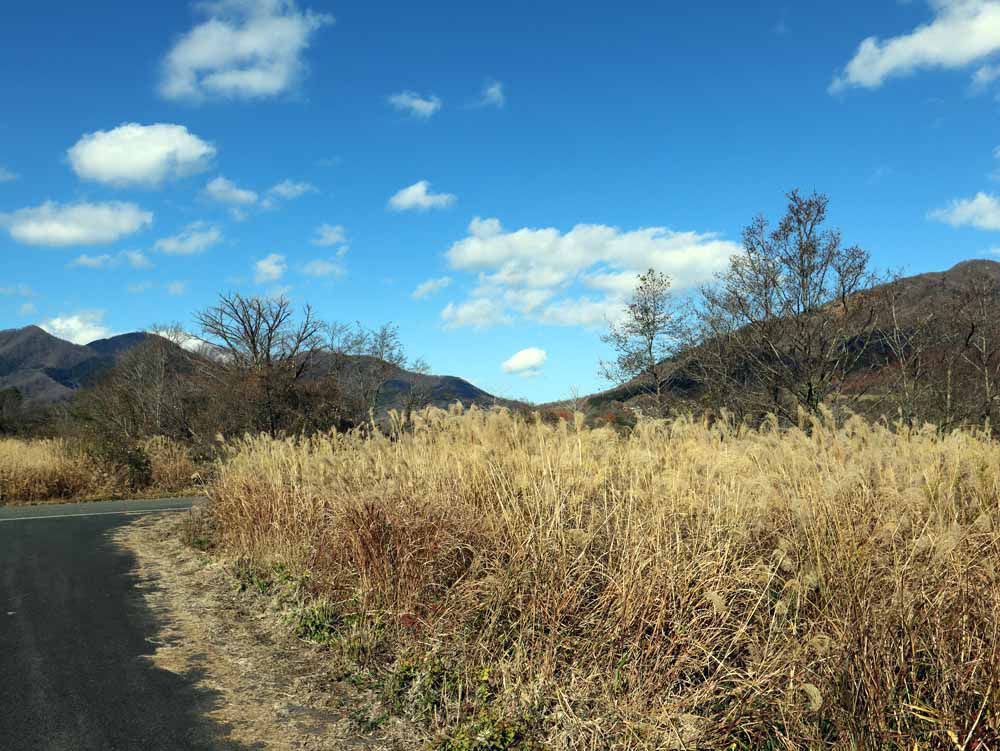 蒜山中福田 C-171の物件写真