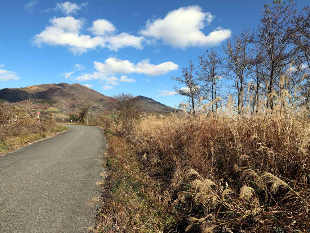 蒜山中福田 C-171の物件写真