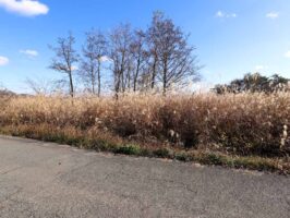 蒜山中福田 C-171の物件写真