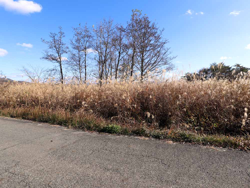 蒜山中福田 C-171の物件写真