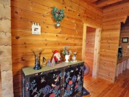 蒜山富山根　A-266の物件写真