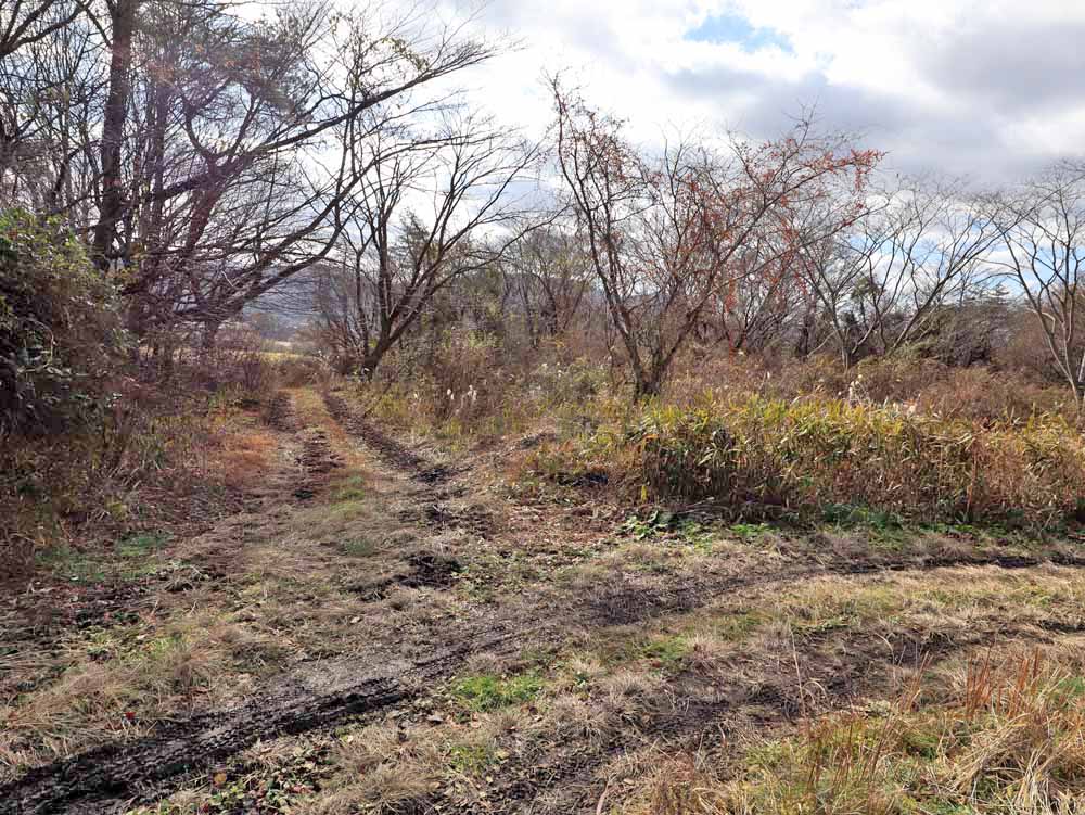 蒜山上長田 C-170の物件写真