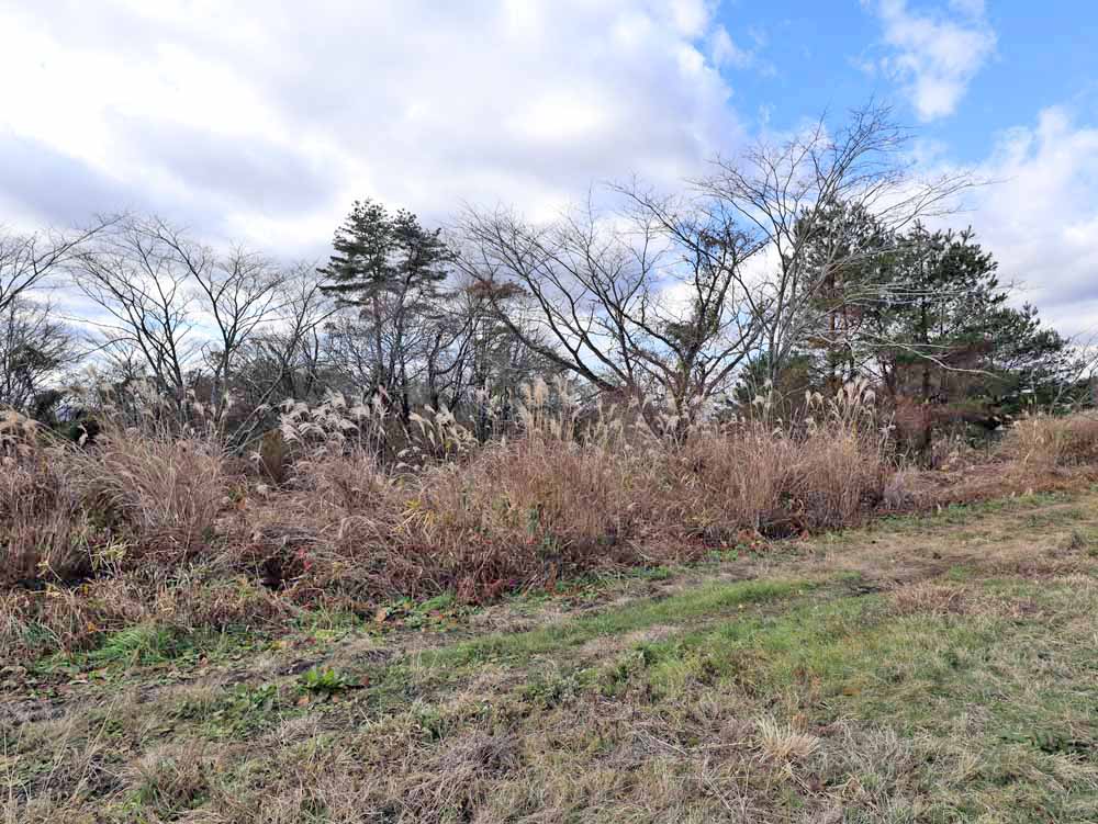 蒜山上長田 C-170の物件写真