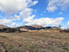 蒜山上長田 C-170の物件写真