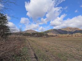 蒜山上長田 C-170の物件写真