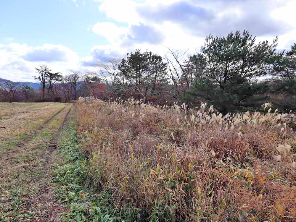 蒜山上長田 C-170の物件写真