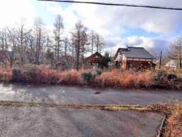 蒜山富掛田 C-172の物件写真