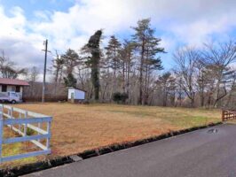 蒜山中福田　C-174の物件写真