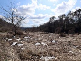 蒜山中福田　C-176の物件写真