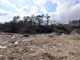 蒜山中福田　C-176の物件写真