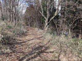 蒜山中福田　C-176の物件写真
