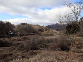 蒜山中福田　C-176の物件写真