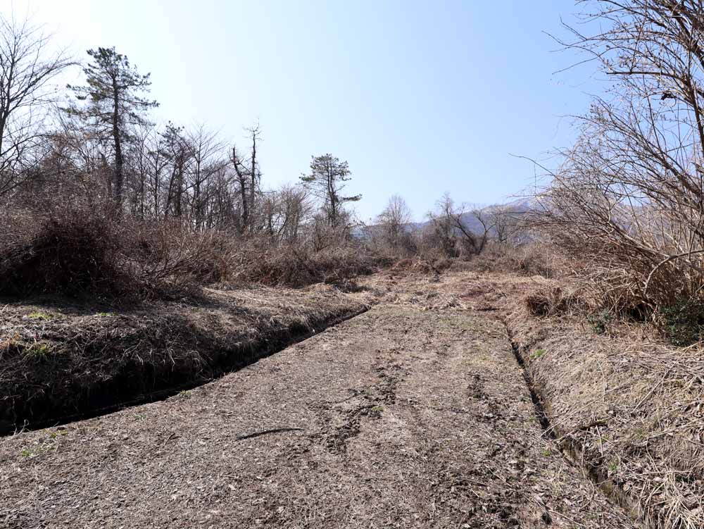 蒜山下長田 C-175の物件写真
