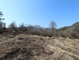 蒜山下長田 C-175の物件写真