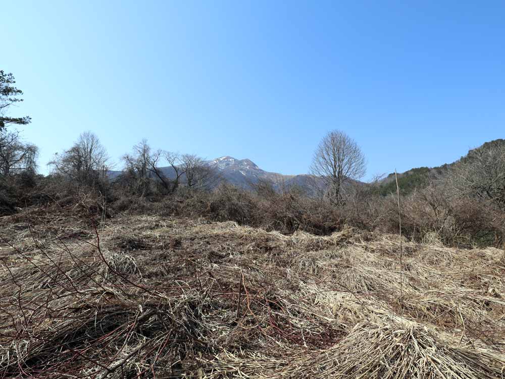 蒜山下長田 C-175の物件写真