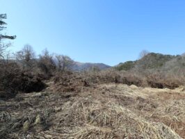 蒜山下長田 C-175の物件写真