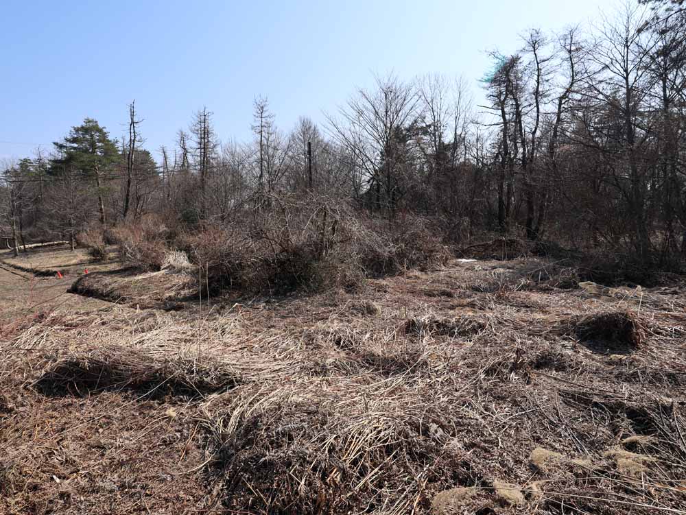 蒜山下長田 C-175の物件写真