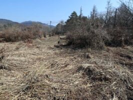 蒜山下長田 C-175の物件写真