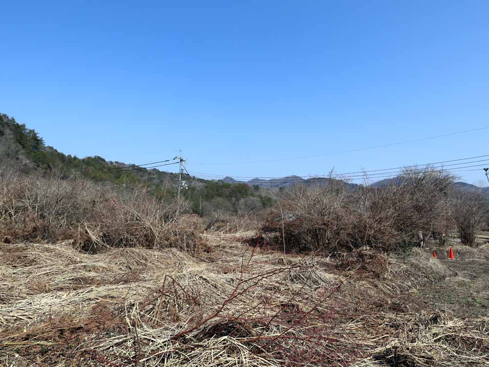 蒜山下長田 C-175の物件写真