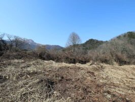 蒜山下長田 C-175の物件写真
