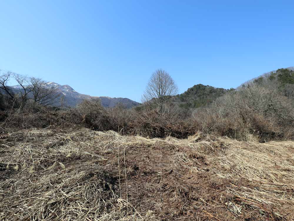 蒜山下長田 C-175の物件写真