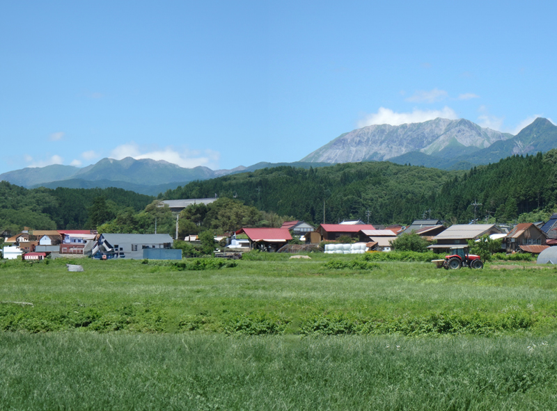 便利で好立地な売土地。